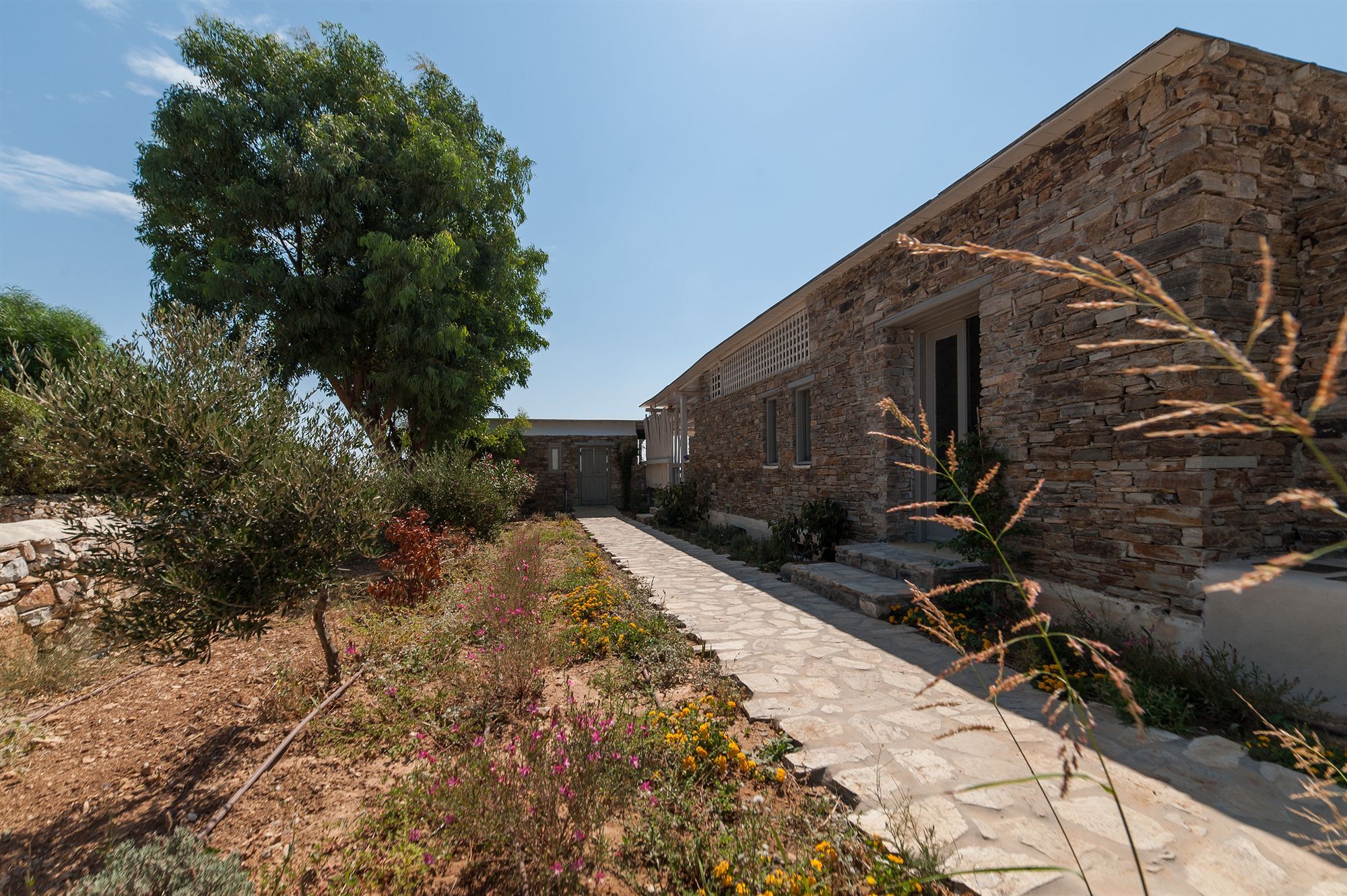 Soros Beach Antiparos Agios Georgios  Eksteriør billede